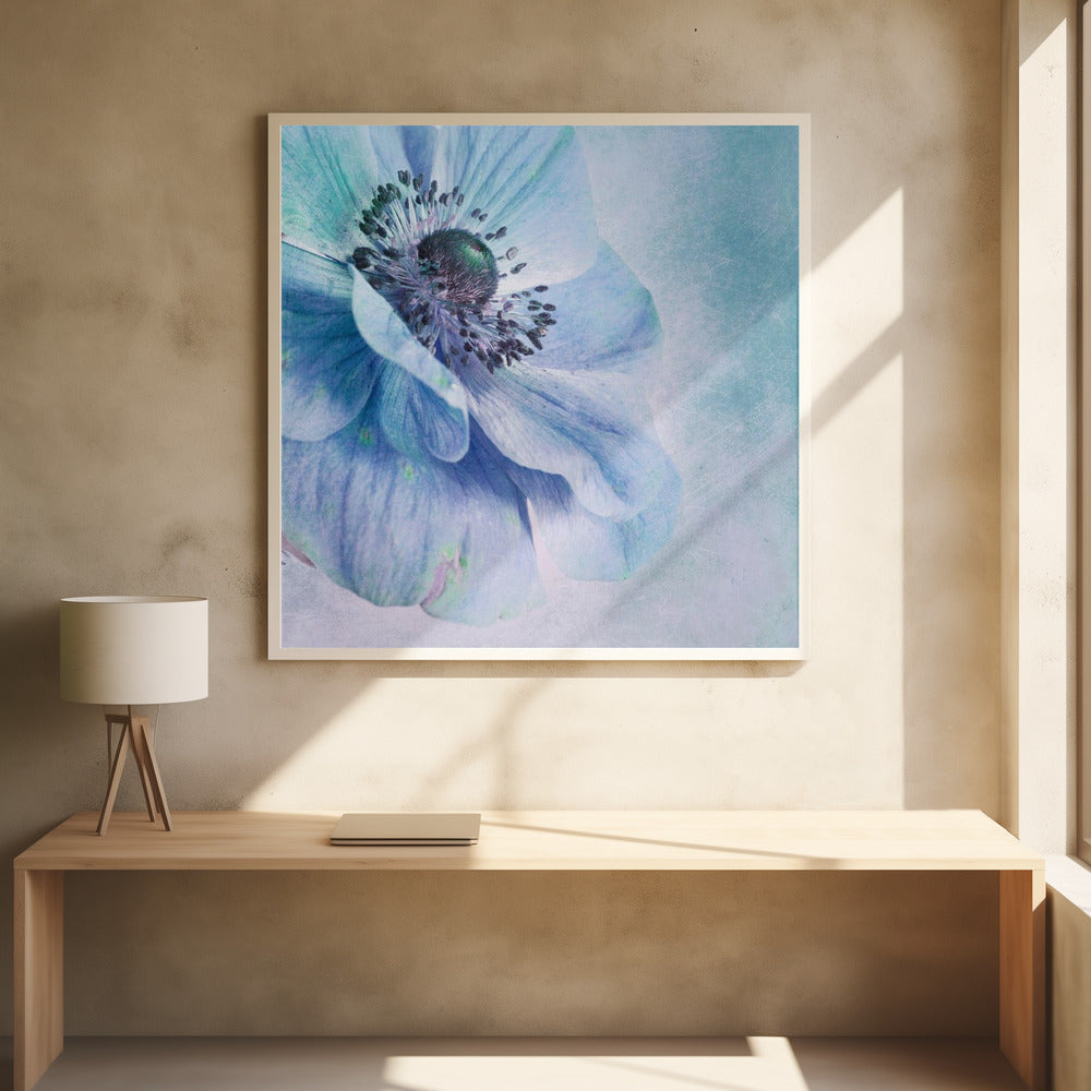 A close-up, artistic photograph of a large blue anemone flower with delicate, layered petals. The center of the flower is a dark, textured black and purple. The background is a soft, textured light blue. The entire image is enclosed in a light-colored wooden frame. Decor
