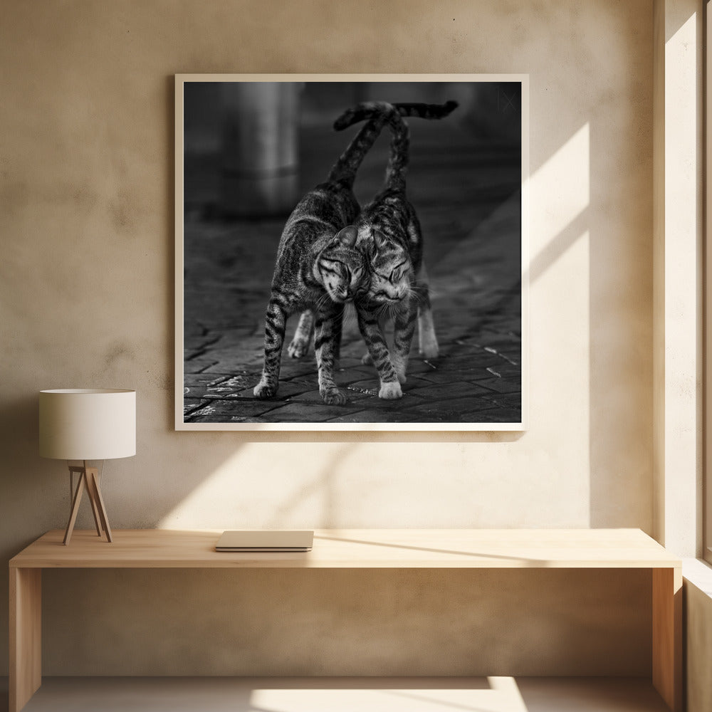 A black and white framed photograph capturing an affectionate moment between two tabby cats. They are rubbing their heads together with eyes closed, and their tails are intertwined above them, creating a heart-like shape. Decor