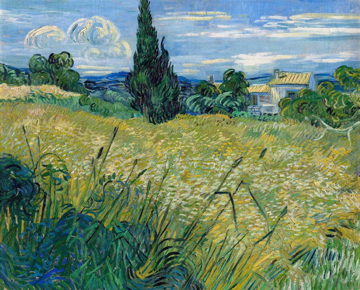 Green Wheat Field With Cypress (1889) - Poster / Art Print