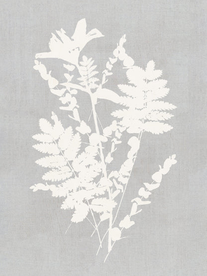 Botanical Illustration 5 - Poster / Art Print
