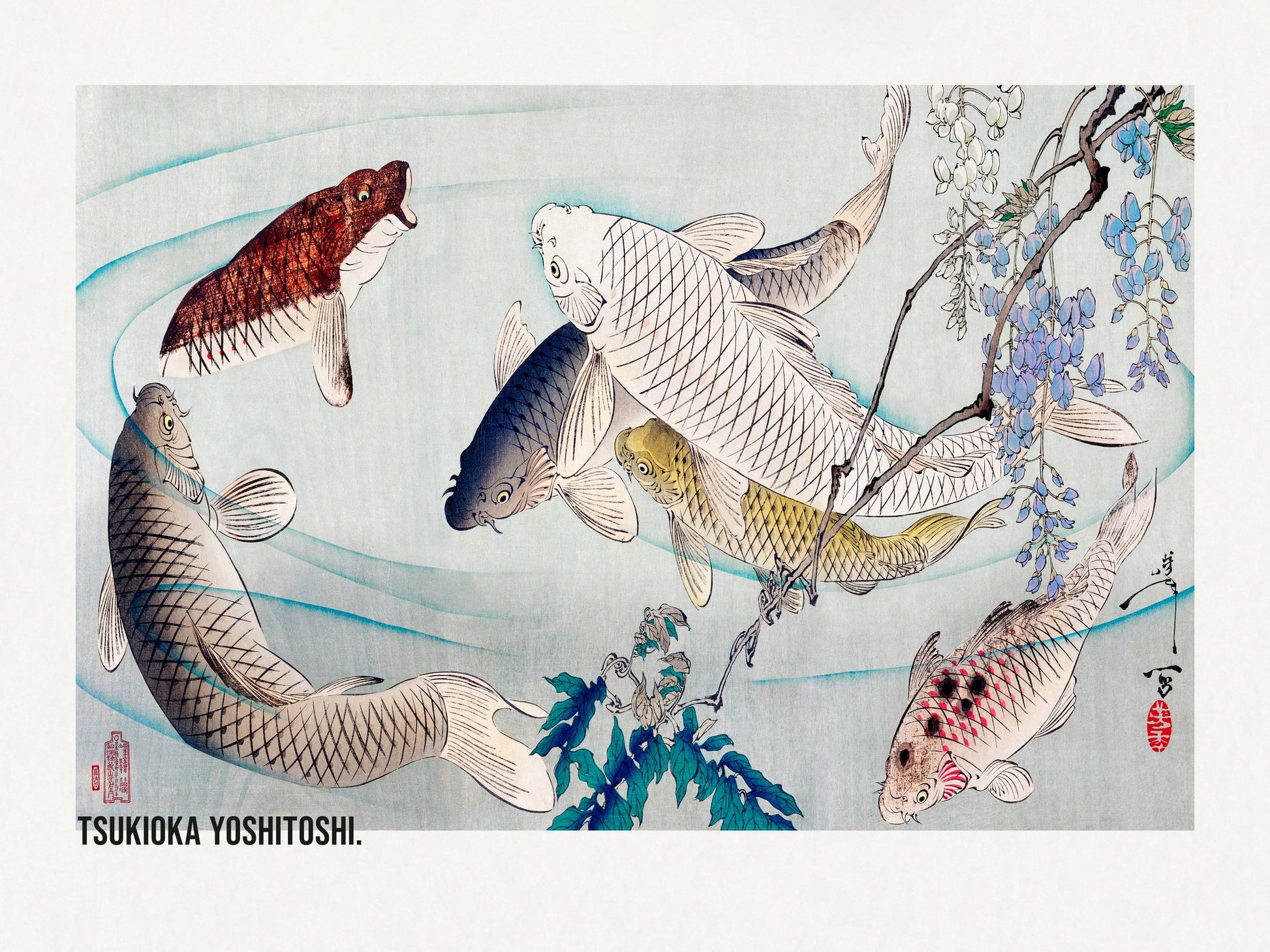 Six Carp Swimming Beneath Wisteria (1889) - Poster / Art Print