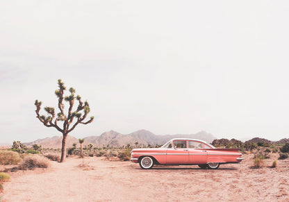 In the desert - Poster / Art Print