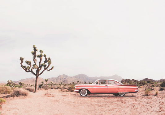 In the desert - Poster / Art Print