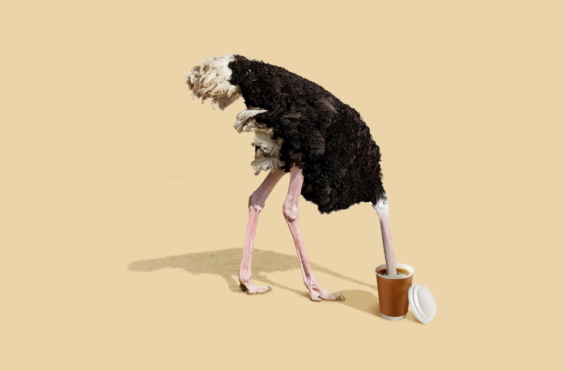 Dive in Coffee - Poster / Art Print