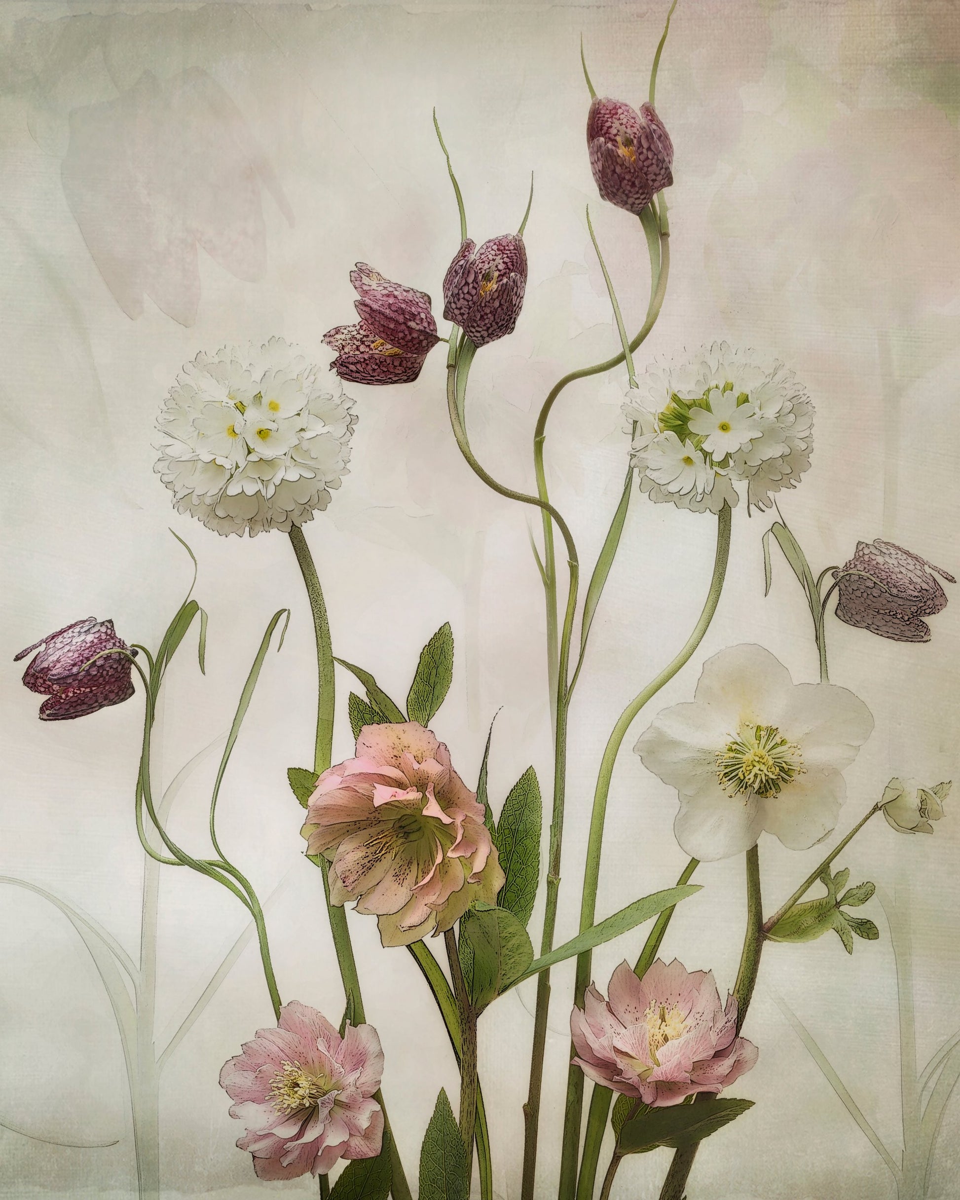 Spring Garden - Poster / Art Print