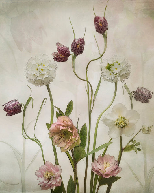 Spring Garden - Poster / Art Print
