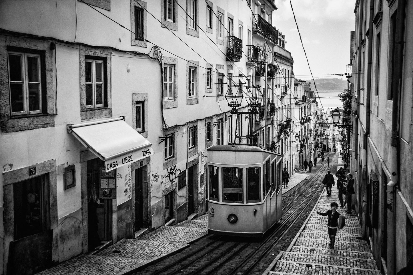 Tram in Lisbon - Poster / Art Print