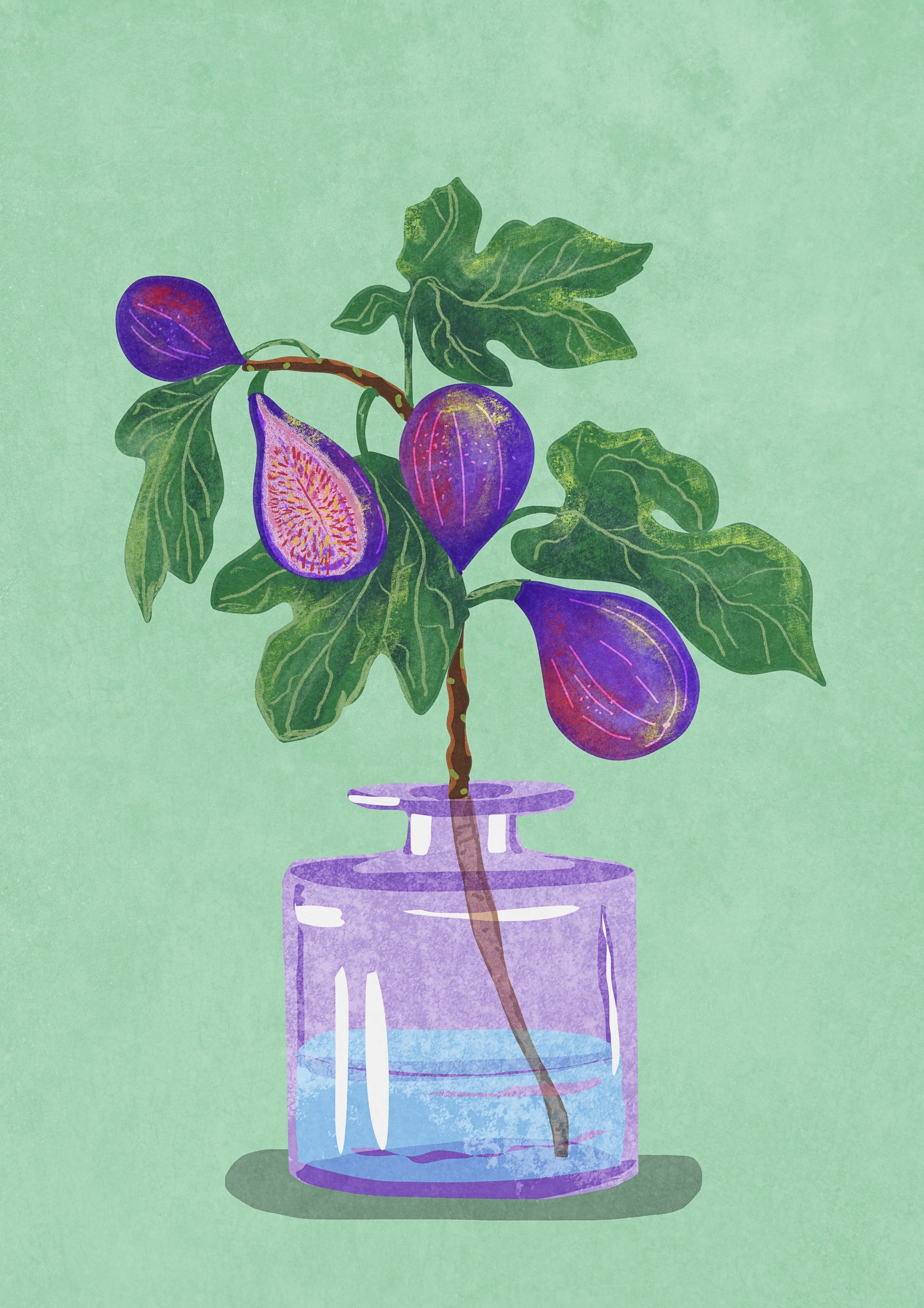 Figs Branch In Vase - Poster / Art Print
