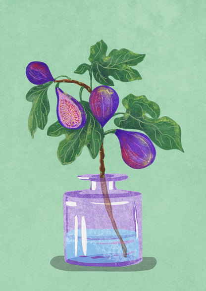 Figs Branch In Vase - Poster / Art Print