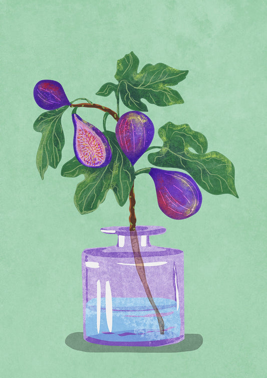 Figs Branch In Vase - Poster / Art Print