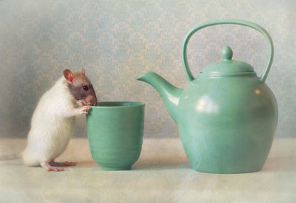 The Teapot - Poster / Art Print
