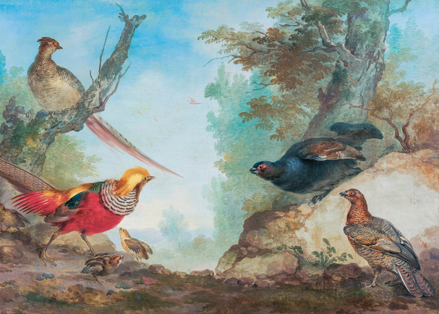Pheasants - Poster / Art Print