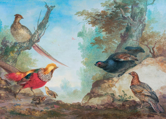 Pheasants - Poster / Art Print