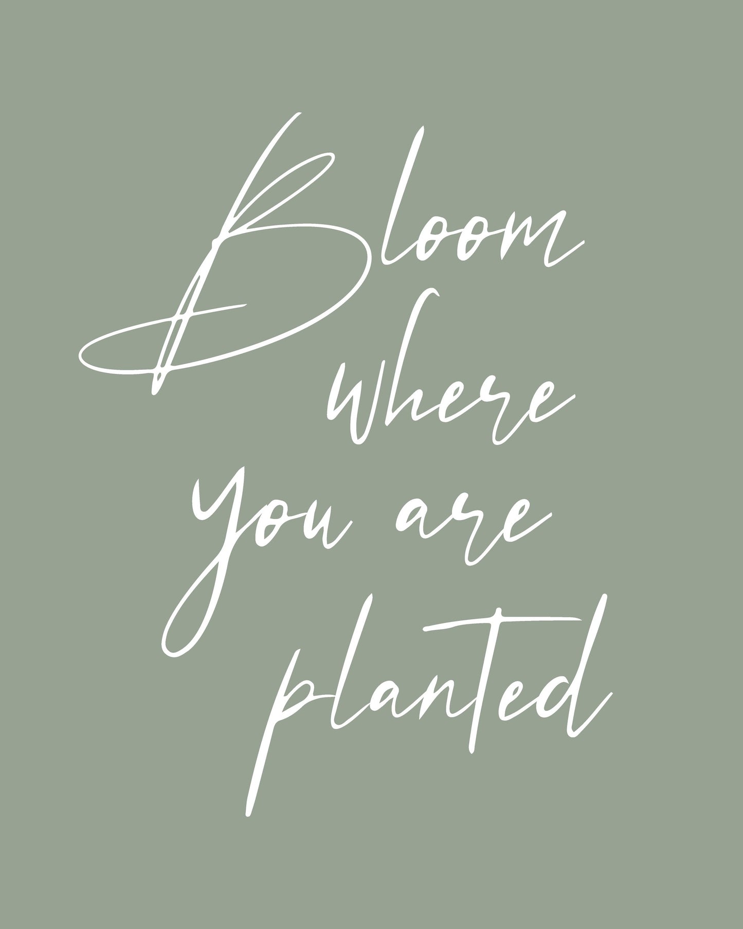 Bloom - Poster / Art Print