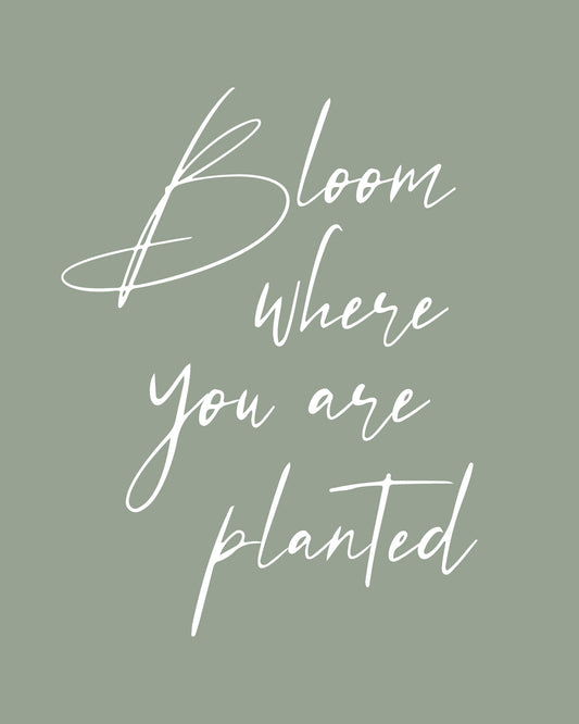 Bloom - Poster / Art Print