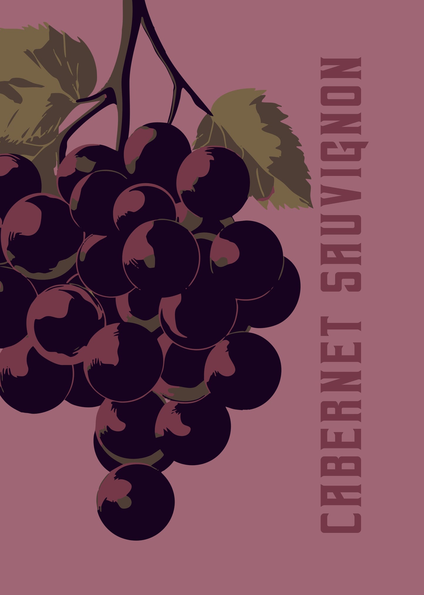 Cabernet Sauvignon - Poster / Art Print
