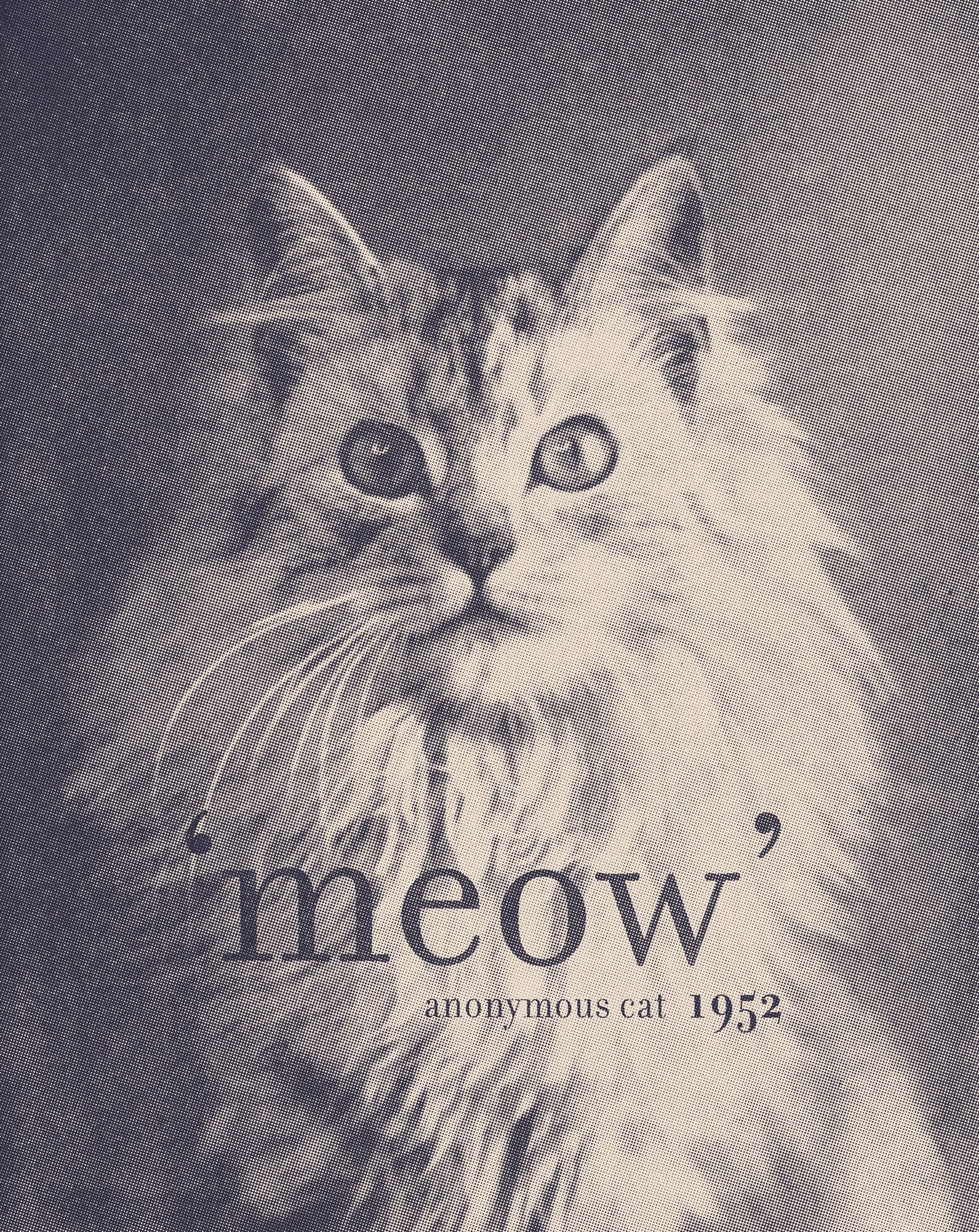 Famous Quote Cat - Poster / Art Print