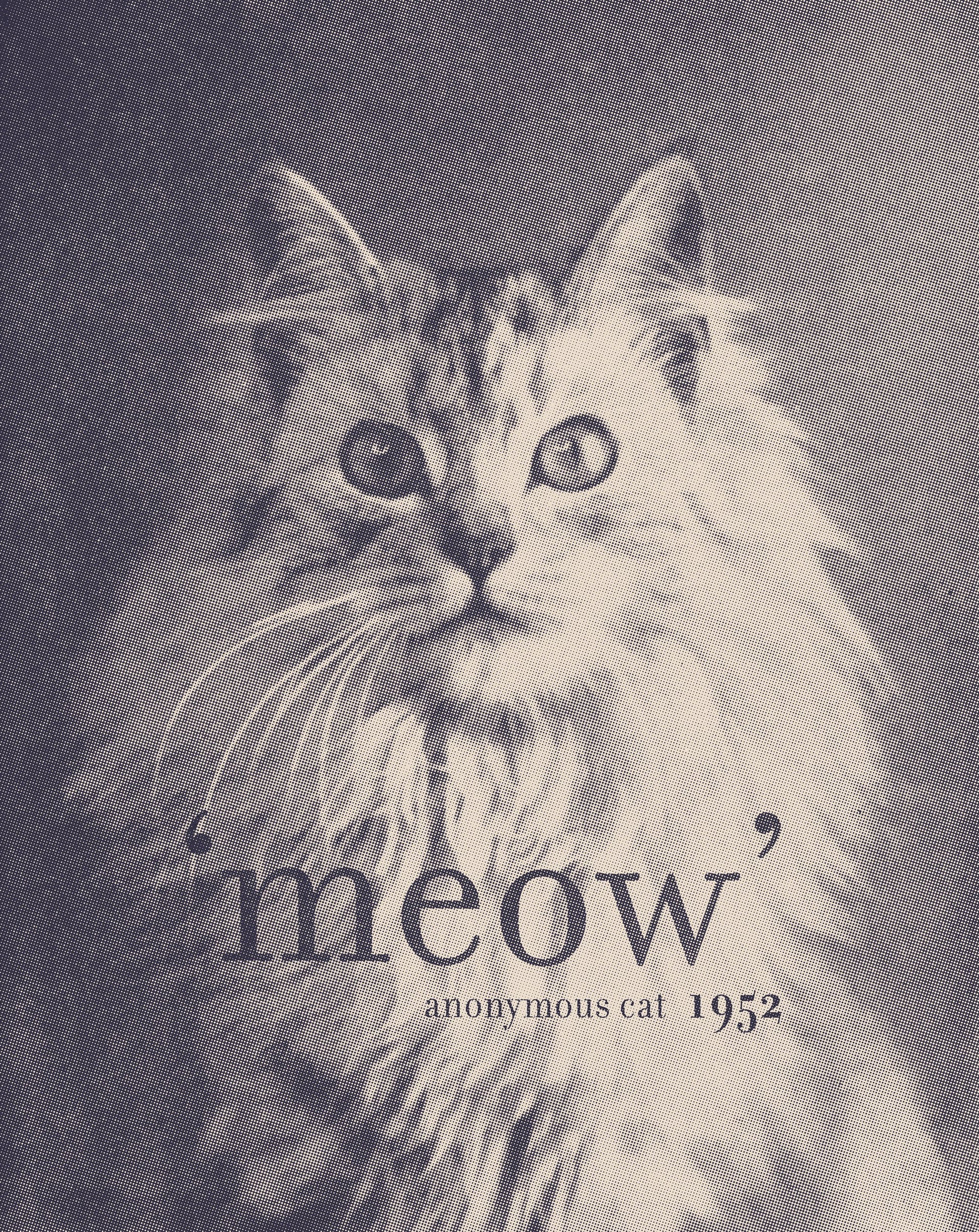 Famous Quote Cat - Poster / Art Print