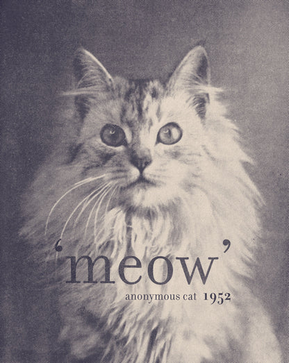 Famous Quote Cat - Poster / Art Print
