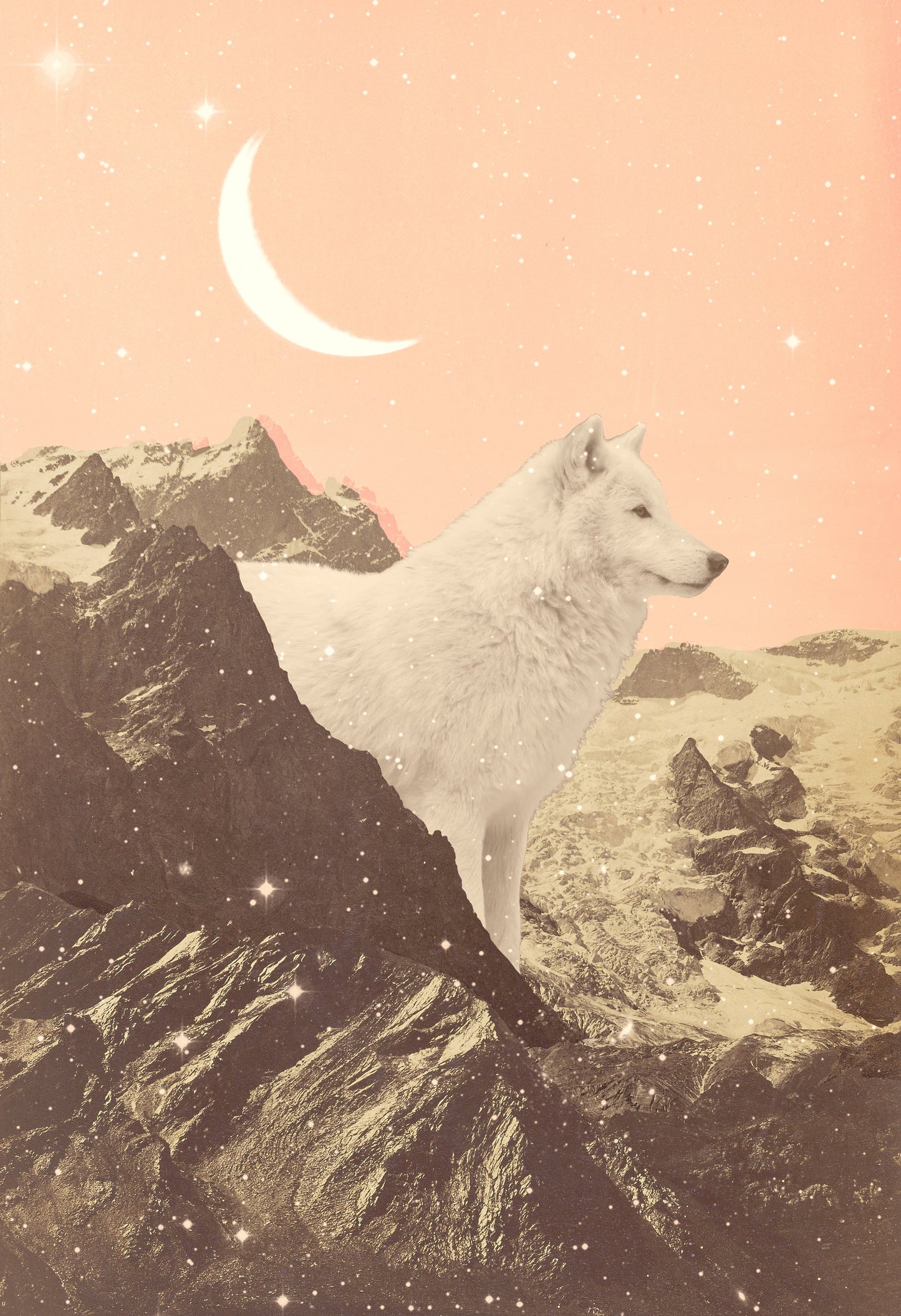 Giant White Wolf In Mountains - Poster / Art Print