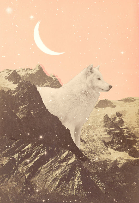 Giant White Wolf In Mountains - Poster / Art Print