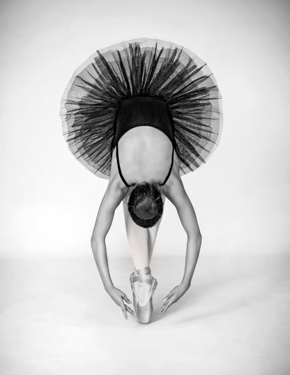 Ballet Technique - Poster / Art Print