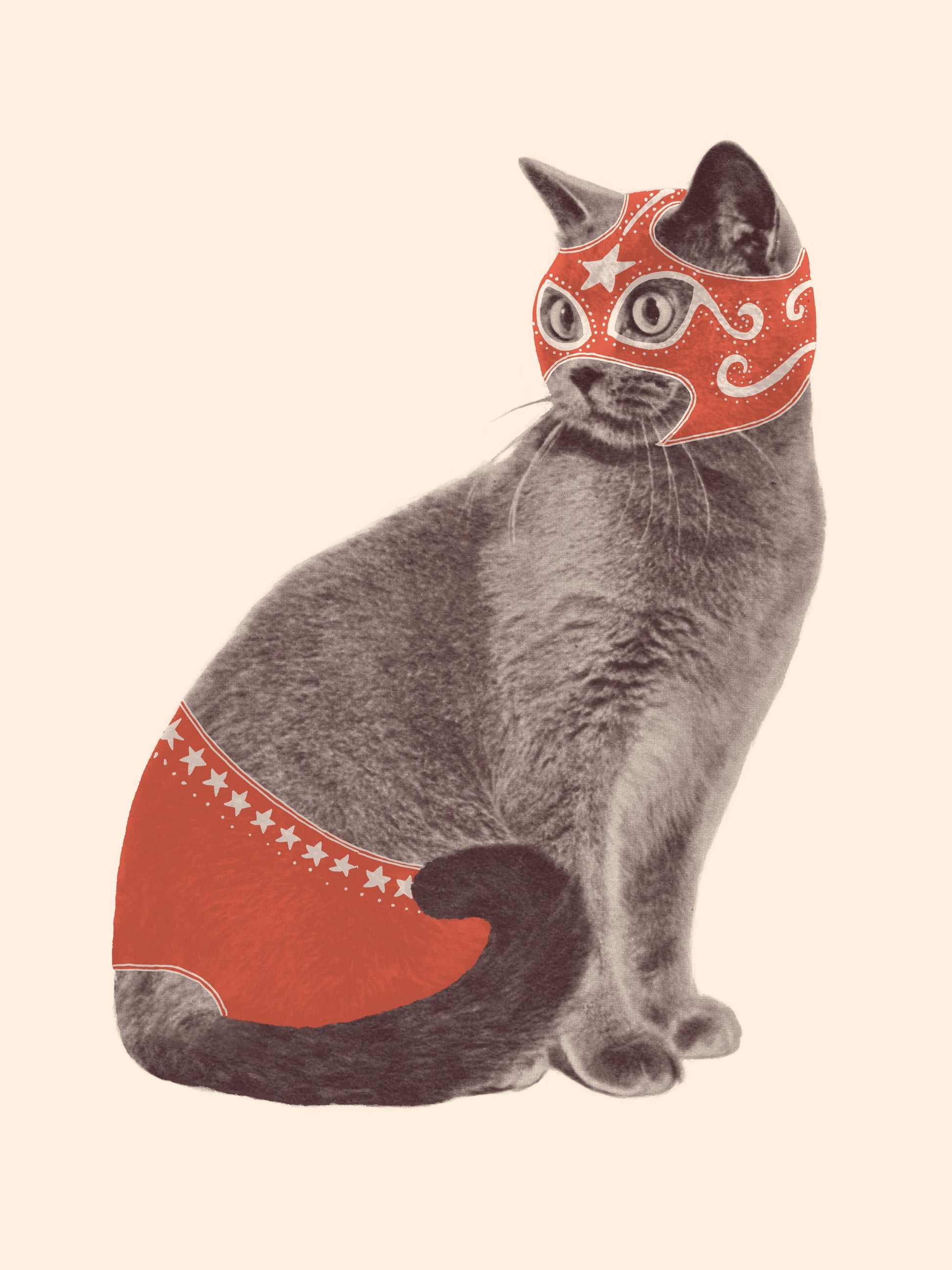 Chat Catcheur - Poster / Art Print