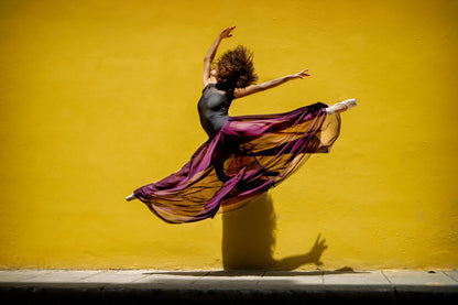Ballet dancer jumping - Poster / Art Print