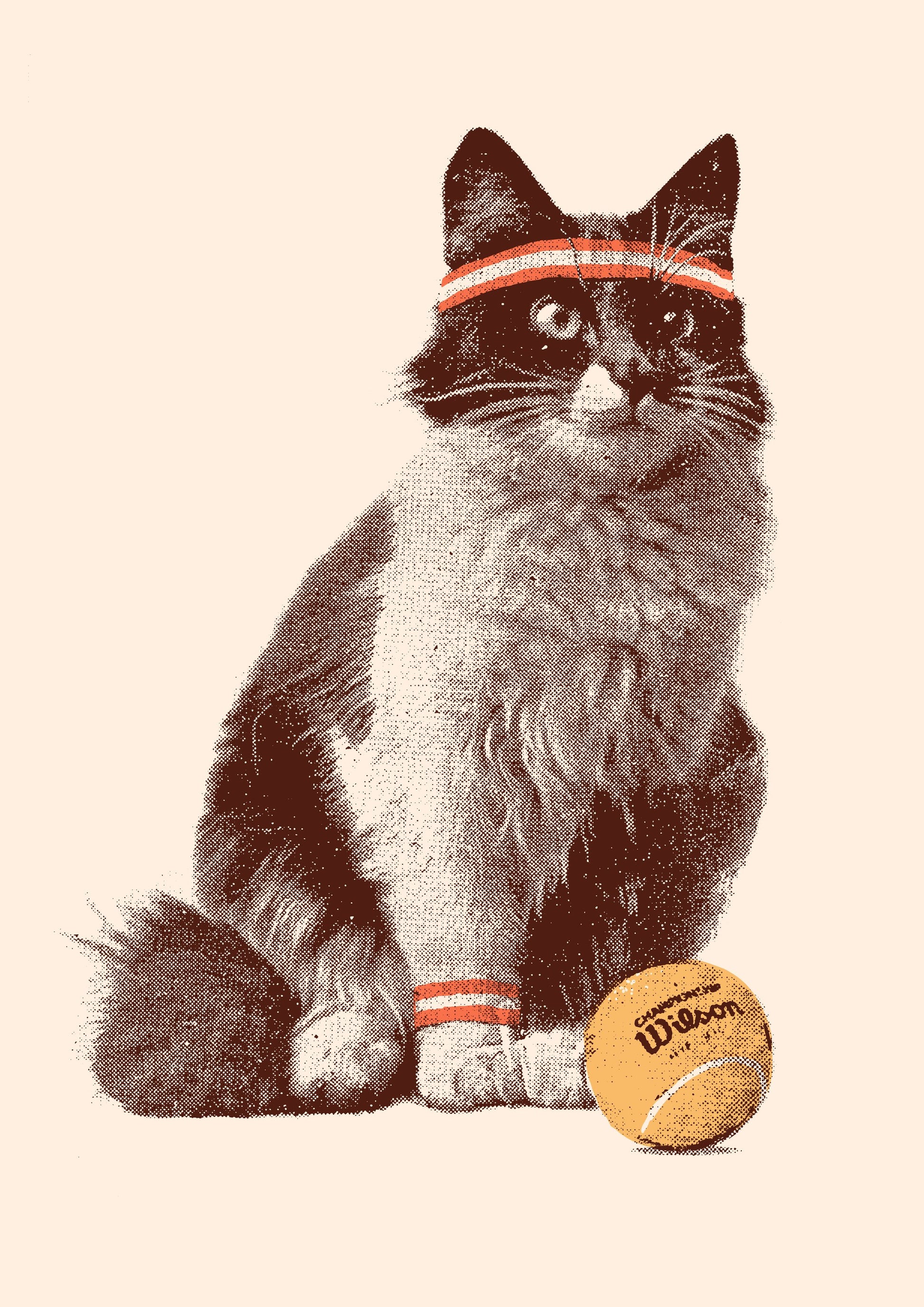 Chat Tennis - Poster / Art Print