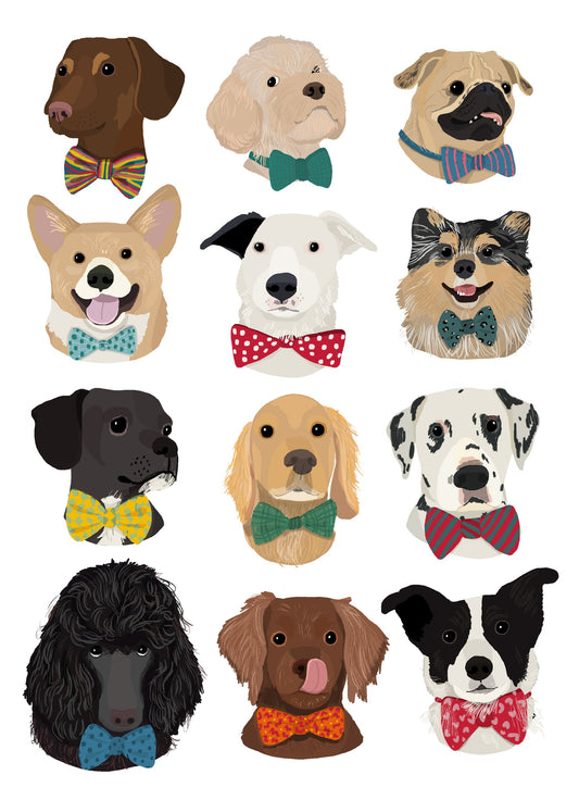 Dog In Bow - Poster / Art Print