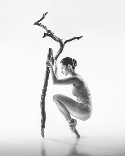 tree - Poster / Art Print