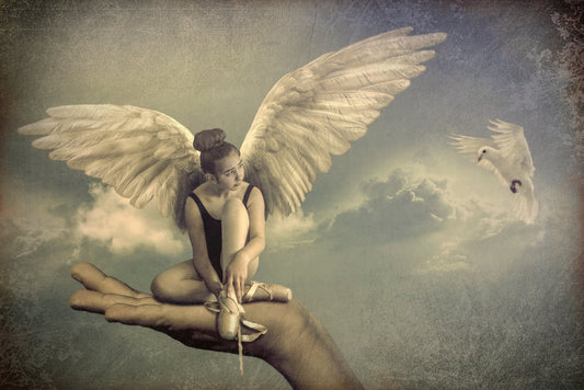 Spread your wings - Poster / Art Print