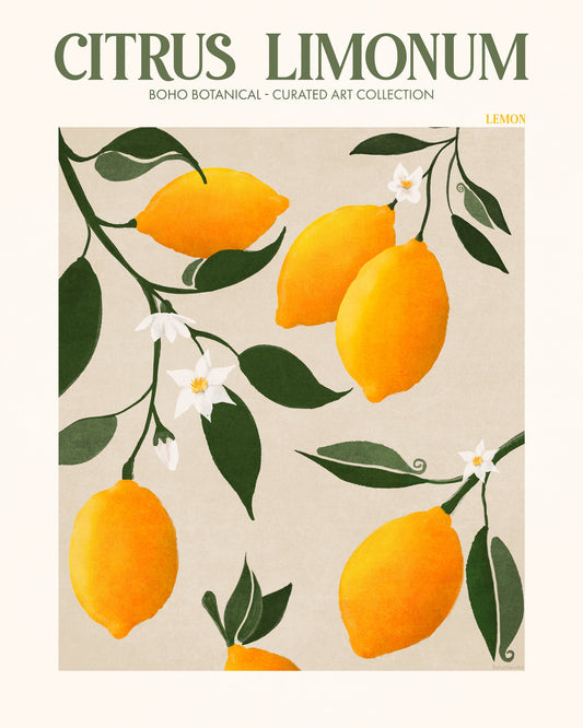 Citrus Limonum - Lemon - Poster / Art Print