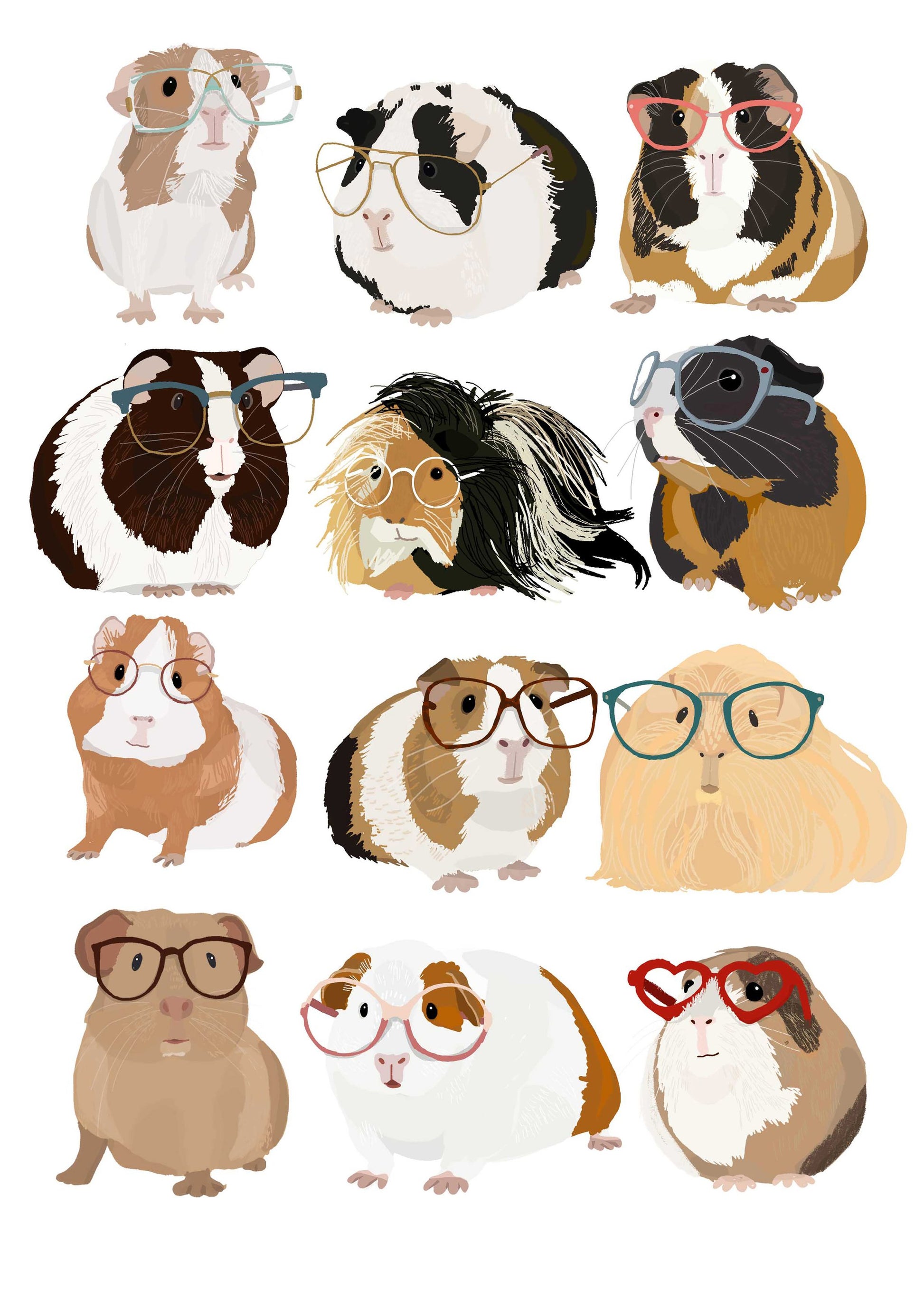 Guinea Pig in Glasses - Poster / Art Print