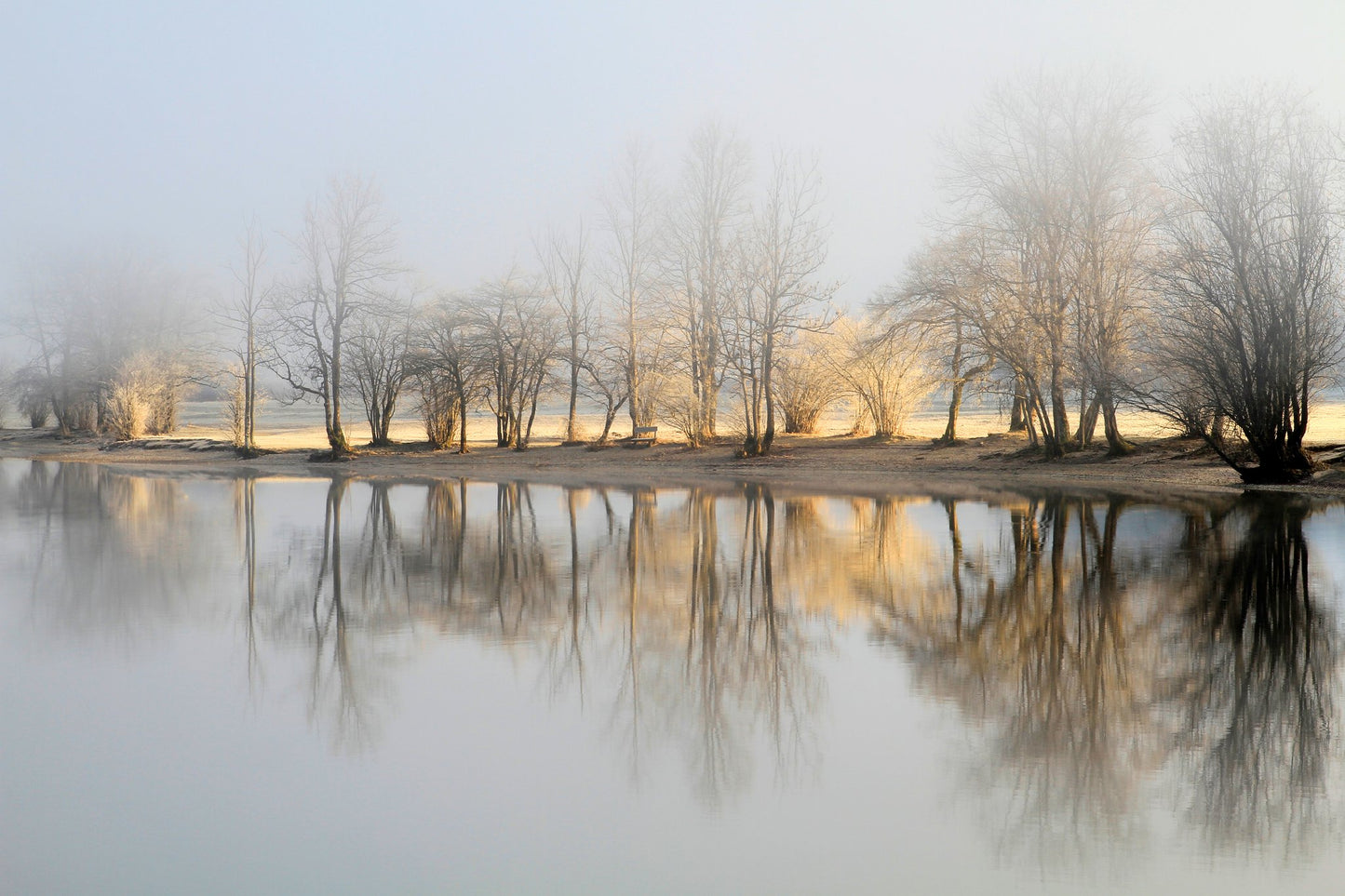 january morning - Poster / Art Print