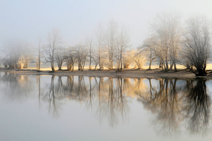 january morning - Poster / Art Print