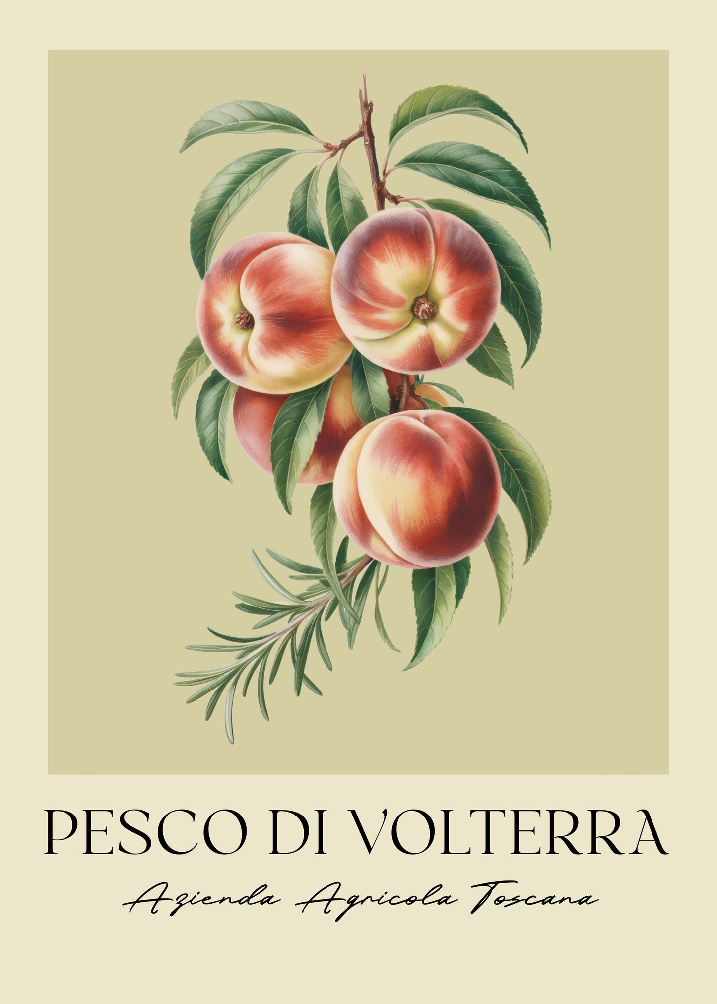 Pesco Di Volterra - Poster / Art Print