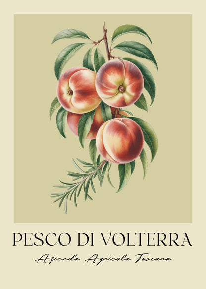 Pesco Di Volterra - Poster / Art Print