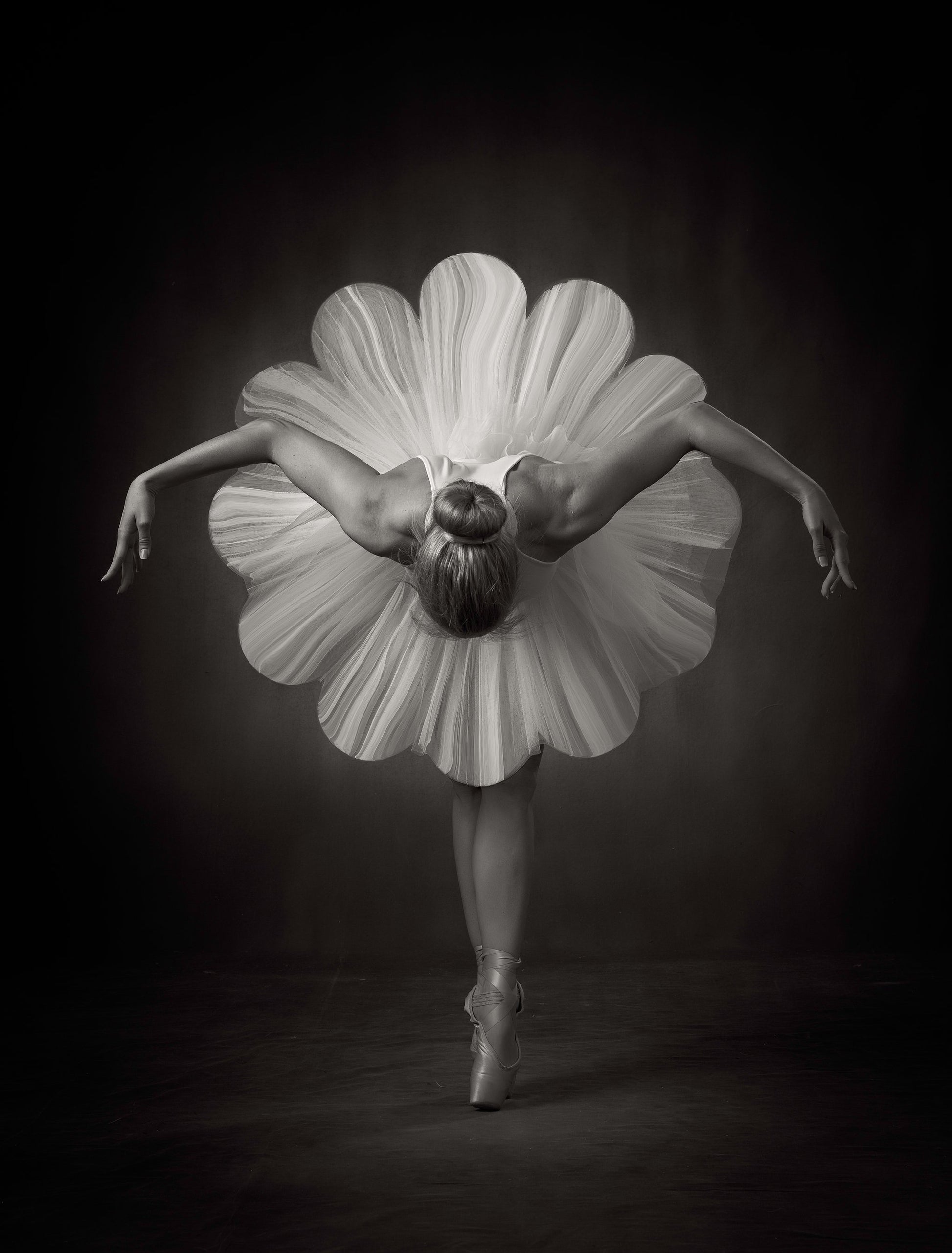 Floral Ballet - Poster / Art Print