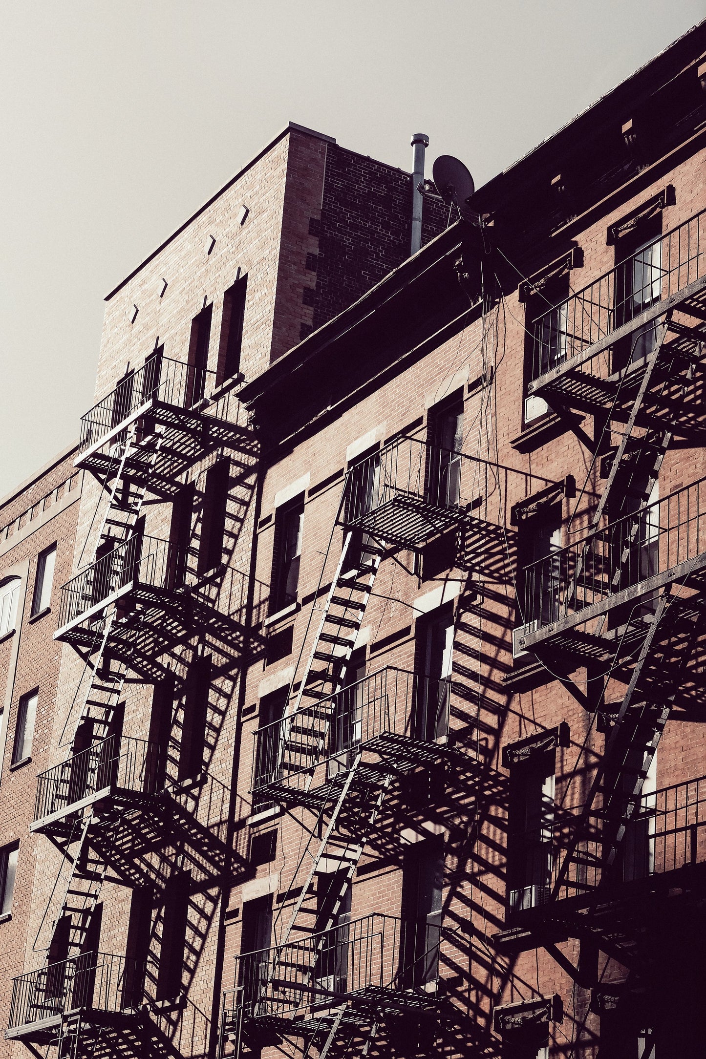 New York City Fire Escapes 02 - Poster / Art Print