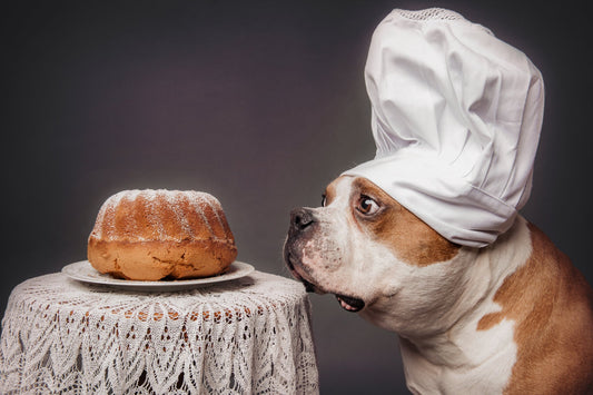 The Confectioner and his masterpiece - Poster / Art Print