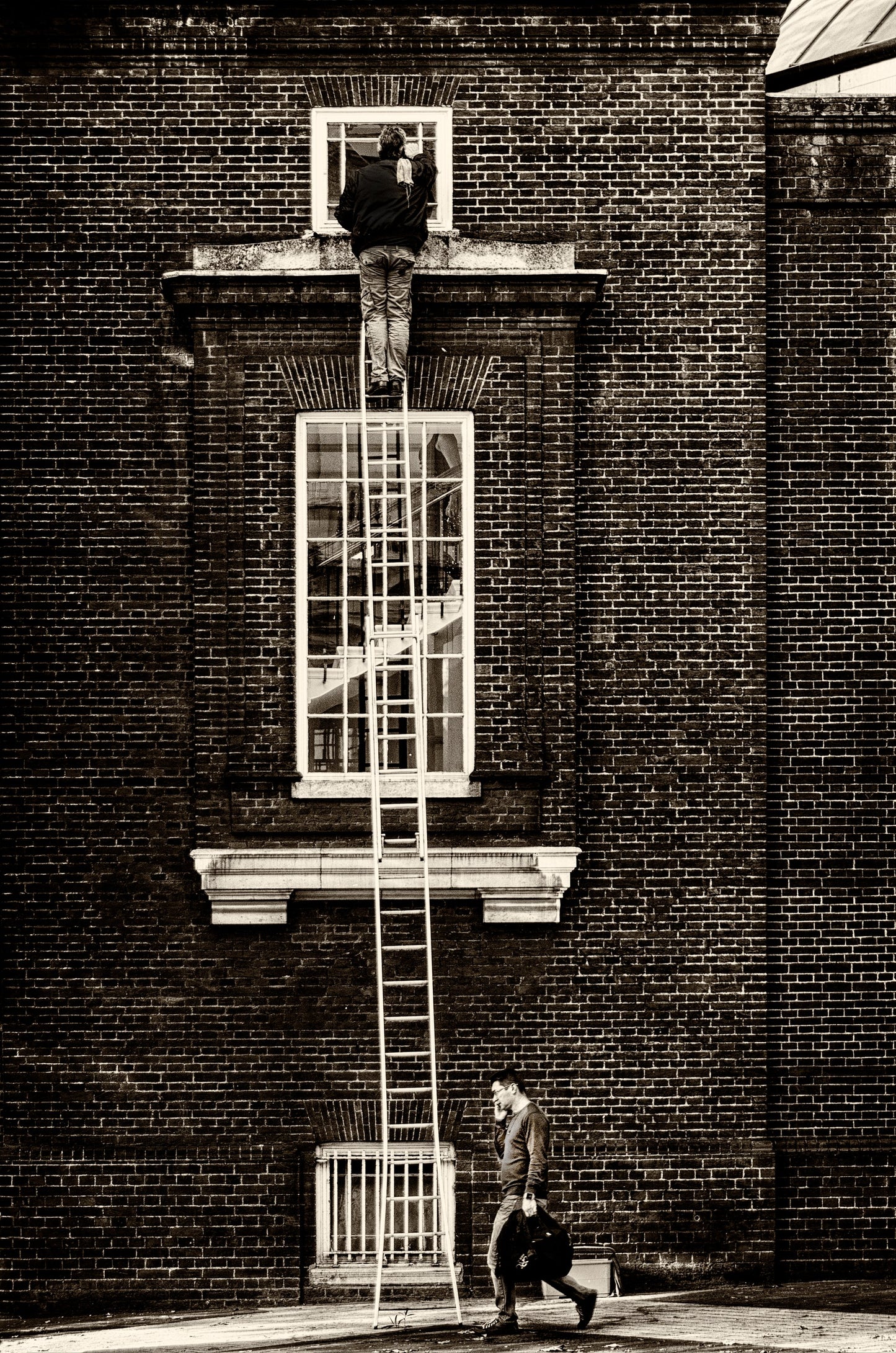 Long Ladder - Poster / Art Print