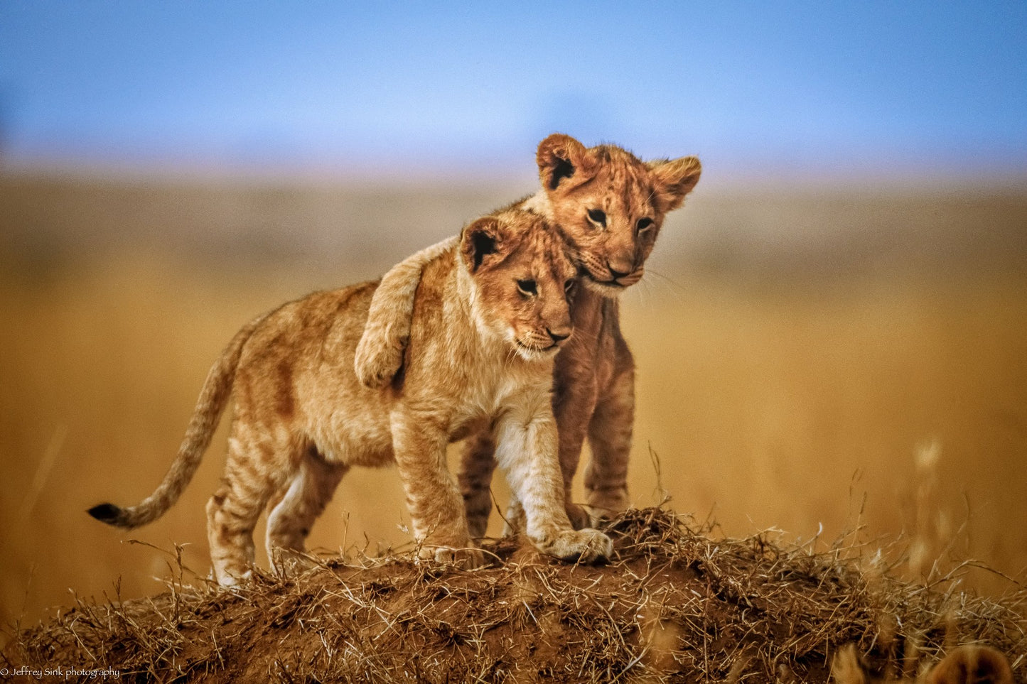 Brothers for Life - Poster / Art Print