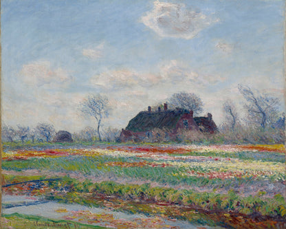 Claude Monet's Tulip Fields At Sassenheim, (1886) - Poster / Art Print