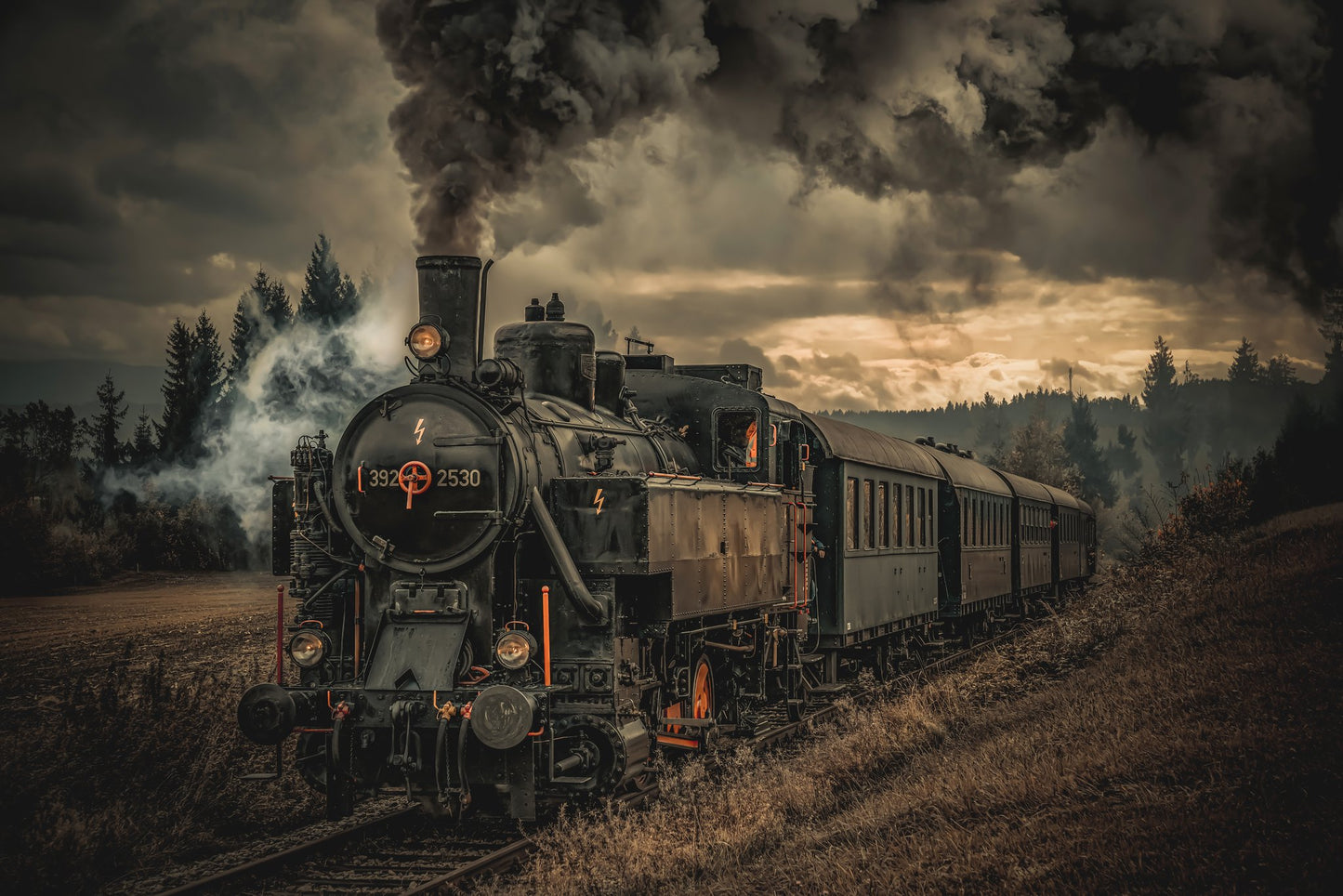 Gold digger train - Poster / Art Print