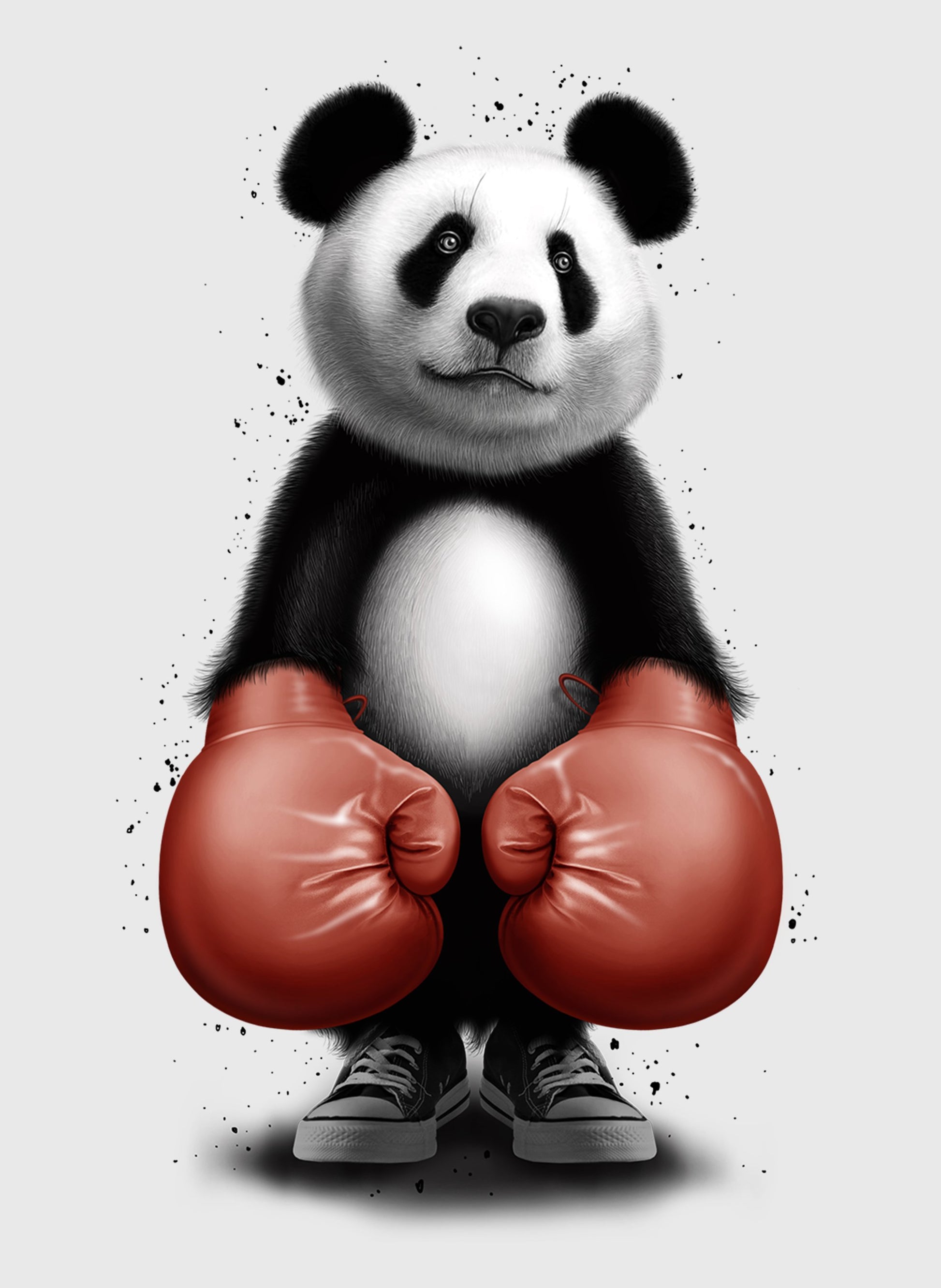 PANDA BOXER - Poster / Art Print