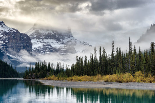 Morning in the Rockies - Poster / Art Print