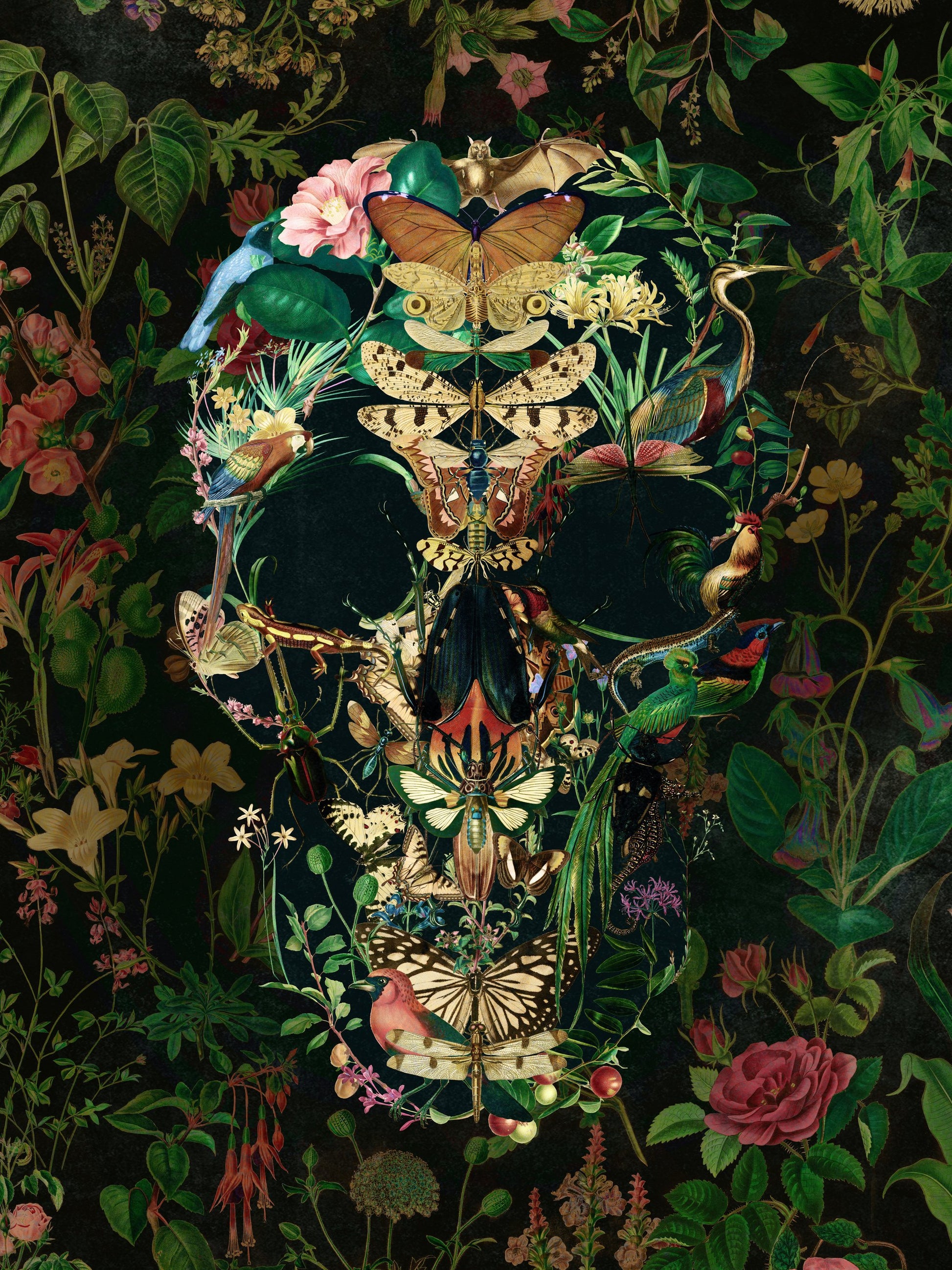 Papillon Skull - Poster / Art Print