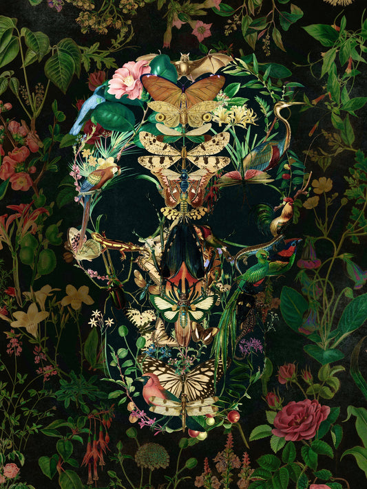 Papillon Skull - Poster / Art Print