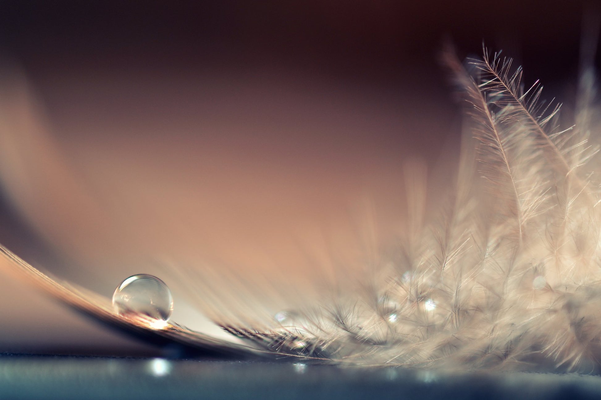Stories of Drops - Poster / Art Print